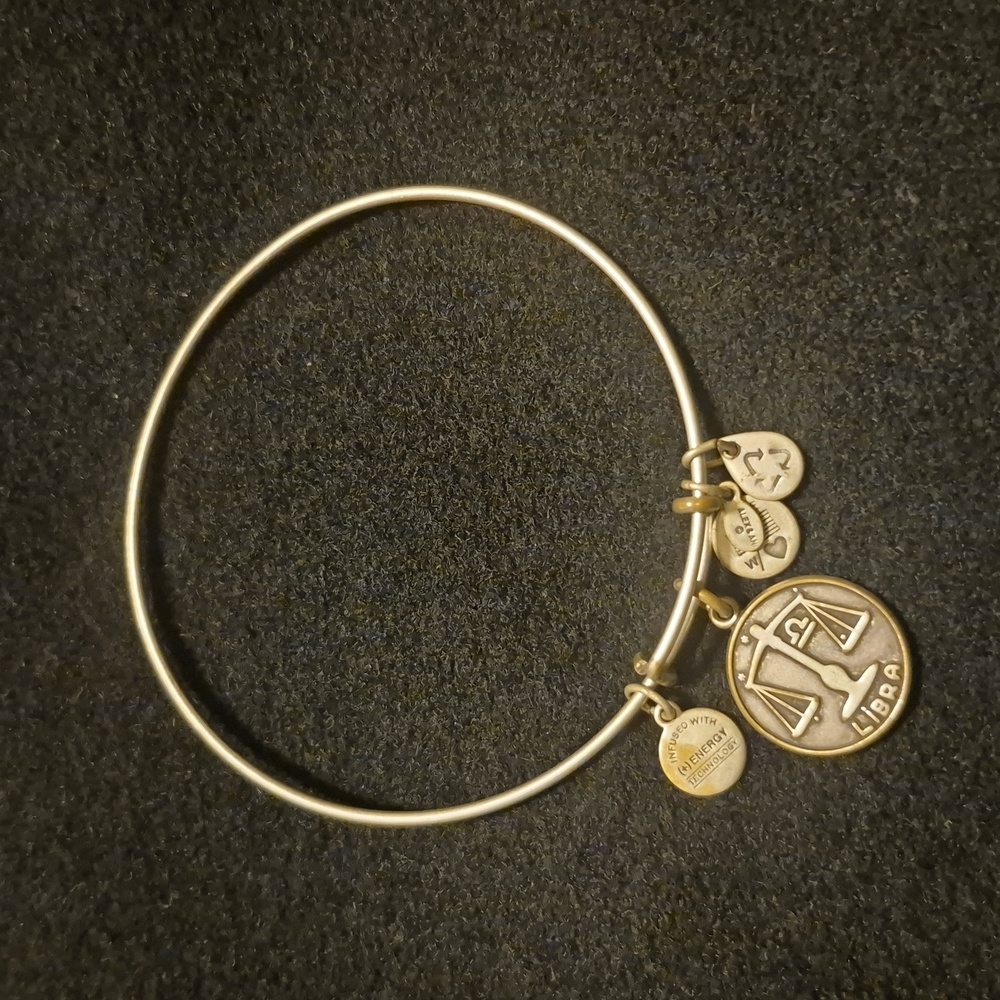 Alex and Ani Gold Charm Bracelet